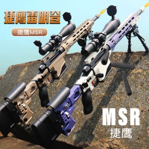 msr 1221 (11)